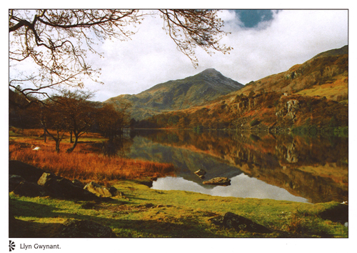 Llyn Gwnant A4 Greetings Cards