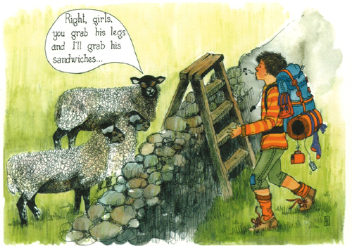 Right girls, you grab his legs...A5 Greetings Cards