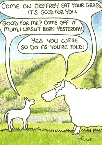 Come on Jeffrey, eat your grass...A5 Greetings Cards