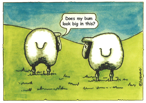 Does my bum look big in this? A5 Greetings Cards