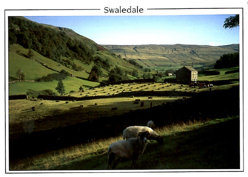 Swaledale A5 Greetings Cards