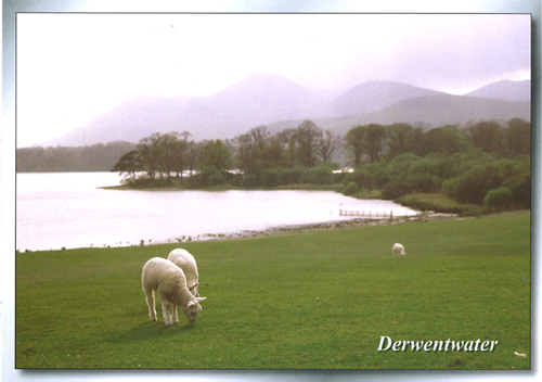 Derwentwater A5 Greetings Cards