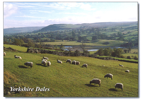 Yorkshire Dales A5 Greetings Cards