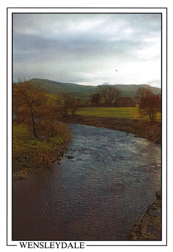 Wensleydale A5 Greetings Cards