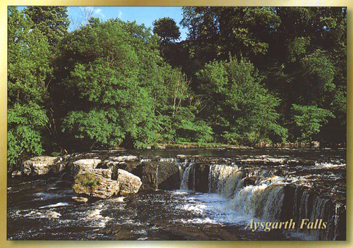 Aysgarth Falls A5 Greetings Cards