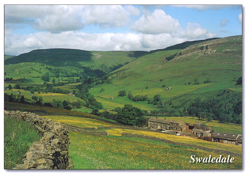 Swaledale A5 Greetings Cards