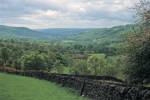 Derwent Valley, near Hathersage BC Greetings Cards