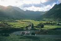 Langdale BC Greetings Cards