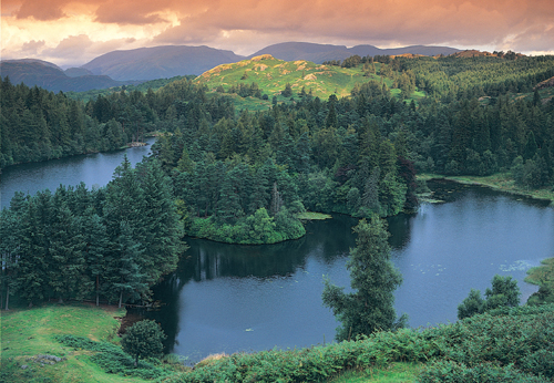Tarn Hows BC Greetings Cards
