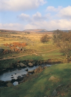 Burbage Brook BC Greetings Cards