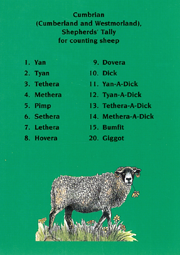 Cumbrian Shepherds' Tally Postcards