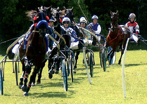 Harness Racing, Appleby Horse Fair Postcards