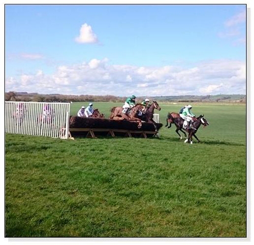 Horses Jumping at a Point to Point Square Cards