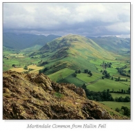 Martindale Common from Hallin Fell Square Cards