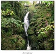 Aira Force Square Cards