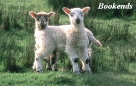 Bookends Picture Magnets