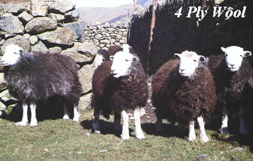 4 Ply Wool Picture Magnets