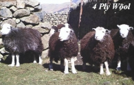4 Ply Wool Picture Magnets