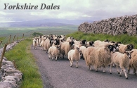 Yorkshire Dales Picture Magnets