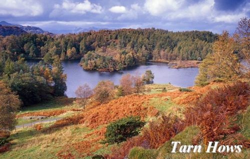 Tarn Hows Picture Magnets