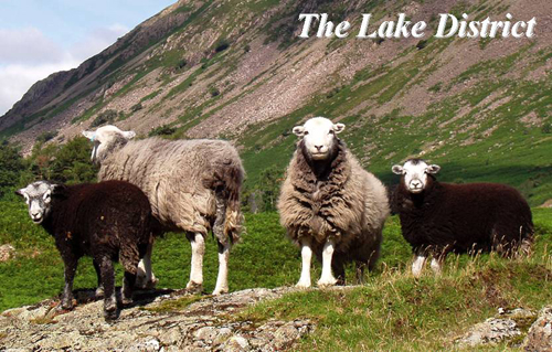 The Lake District Picture Magnets