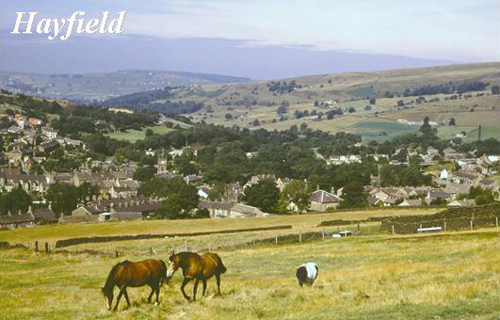 Hayfield Picture Magnets