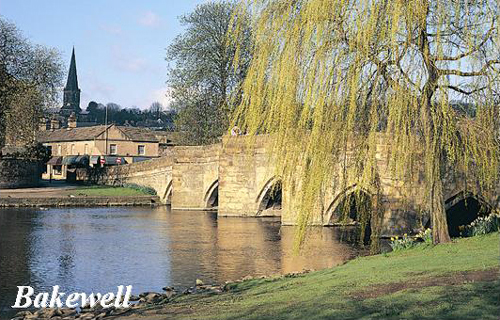 Bakewell Picture Magnets
