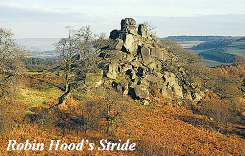 Robin Hood's Stride Picture Magnets