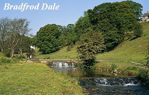 Bradford Dale Picture Magnets