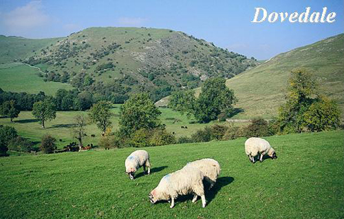 Dovedale Picture Magnets