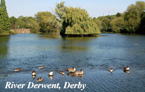 River Derwent, Derby Picture Magnets