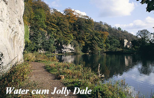 Water cum Jolly Dale Picture Magnets