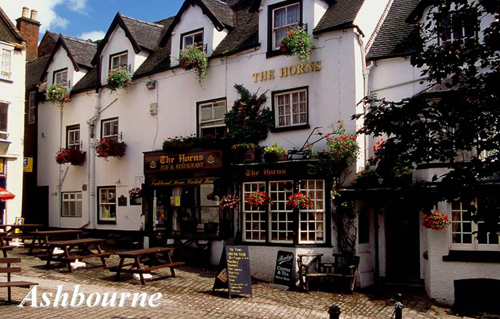 Ashbourne Picture Magnets