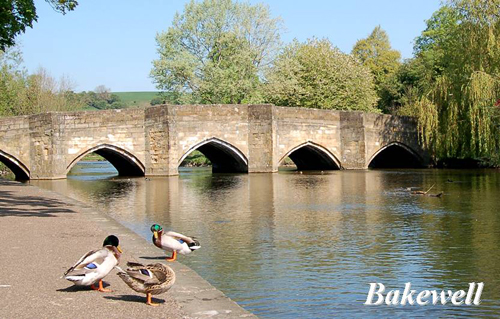 Bakewell Picture Magnets