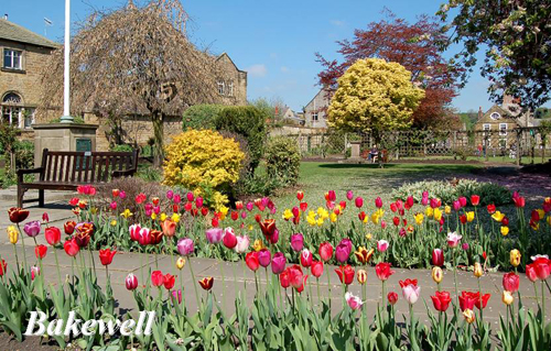 Bakewell Picture Magnets
