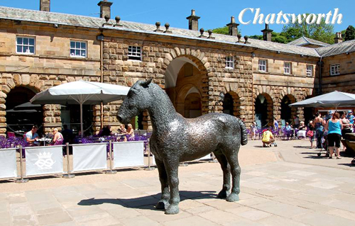 Chatsworth Picture Magnets