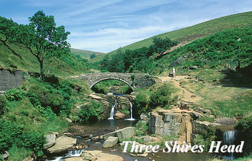 Three Shires Head Picture Magnets