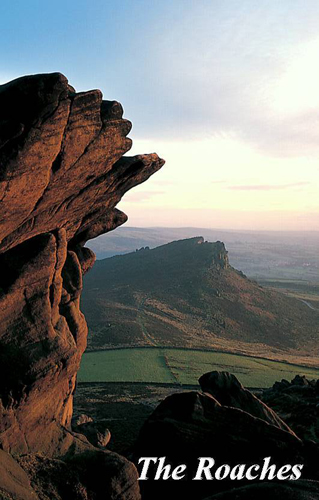 The Roaches Picture Magnets