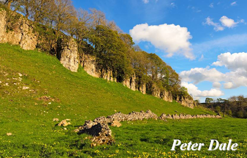 Peter Dale Picture Magnets