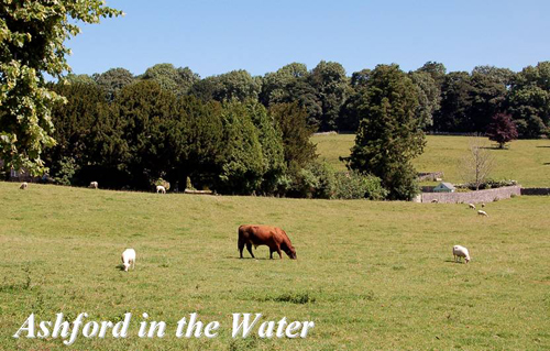 Ashford in the Water Picture Magnets