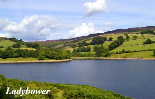 Ladybower Picture Magnets