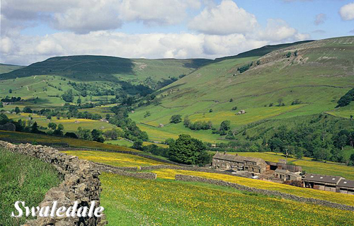 Swaledale Picture Magnets