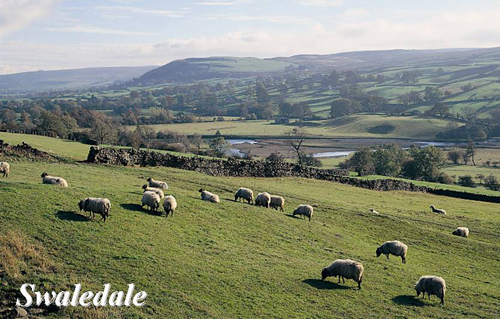 Swaledale Picture Magnets