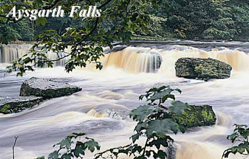 Aysgarth Falls Picture Magnets