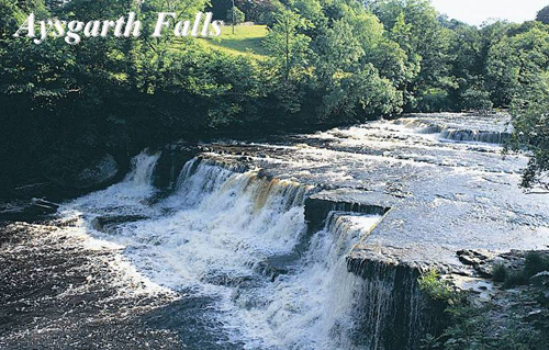 Aysgarth Falls Picture Magnets