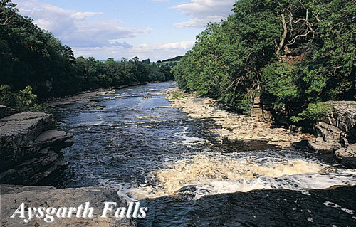 Aysgarth Falls Picture Magnets