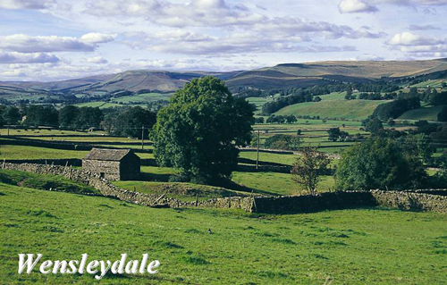 Wensleydale Picture Magnets