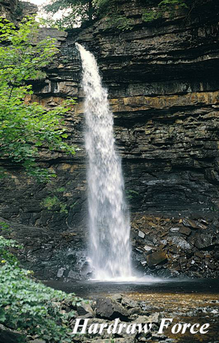 Hardraw Force Picture Magnets