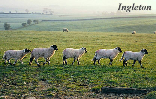 Ingleton Picture Magnets