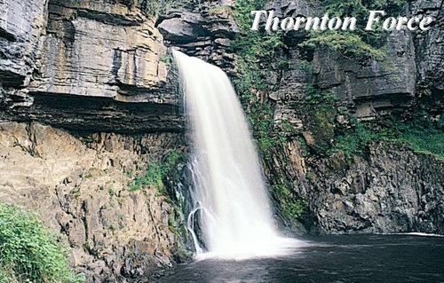 Thornton Force Picture Magnets